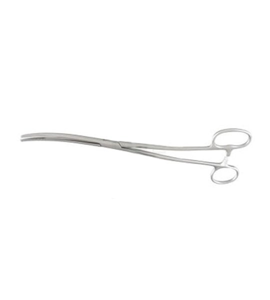 Bozeman Double-Large Ring