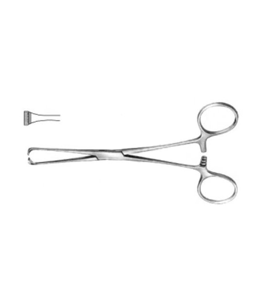 Boys Allis Tissue Forceps